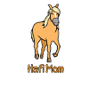 Hafi Mom Haflinger Lover