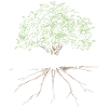 Rooted in Christ