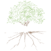 Rooted in Christ