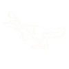 T-Rex - Dinosaurs - Dinosaurs