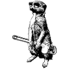 Erdmännchen