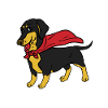 Superheld Dackel Dachshund Hund