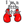 little fighter
