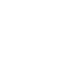 LESEN EVOLUTION T-SHIRT.