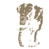 Namibia - Elephant - Elefant