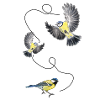 Three great tits, birds, fly