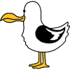 funny moeve beach bird hunger
