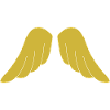 Wings like an angel