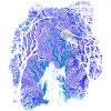Scary Woods (Ghost)