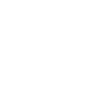 Horse with schweiff