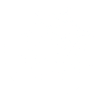 Mandala Spider Web Design