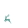 Anti Christmas