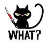Hva? | svart ninja katt med kniv