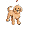 Drôle Doodle Chien - Cadeau