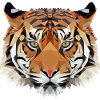 Geo Tiger
