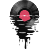 VinylLPRekord Sunset