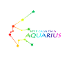 Aquarius constellation
