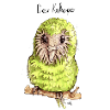 Kakapo