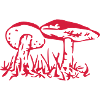 Mycelium mushroom illustration in red