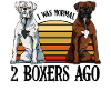 boxer