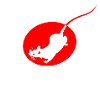 rat