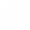 swimming turtle