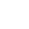 reporter