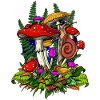 Fungus Magic Mushrooms Nature
