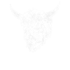 Vache écossaise