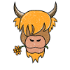 Highland Cattle Highlander Cattle