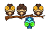 Owls Funny