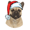 Bouledogue Français Noël