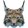 Lynx head polygon