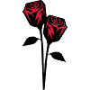 roses design