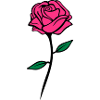 rose design