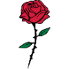 rose dornen
