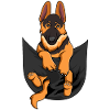 Sweet german shepherd
