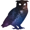 Space Owl