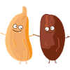 Date and fig pair