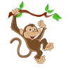 Funny Monkey