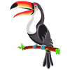 Toucan