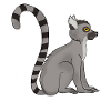 Lemur Äffchen