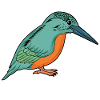 Kingfisher