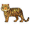 Un tigre
