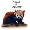 Roux et sauvage