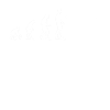 Football Evolution