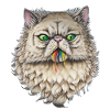 Button the rainbow cat