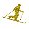 Gold Telemark