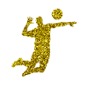 Gold Volleyball