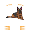 German shepherd
